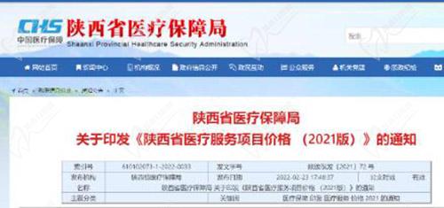 陜西省醫(yī)療項(xiàng)目收費(fèi)