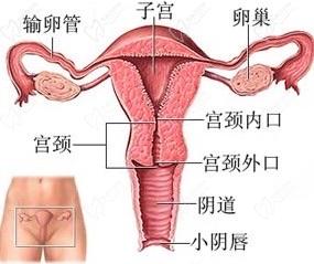 變性手術整形醫(yī)院問詢免費平臺